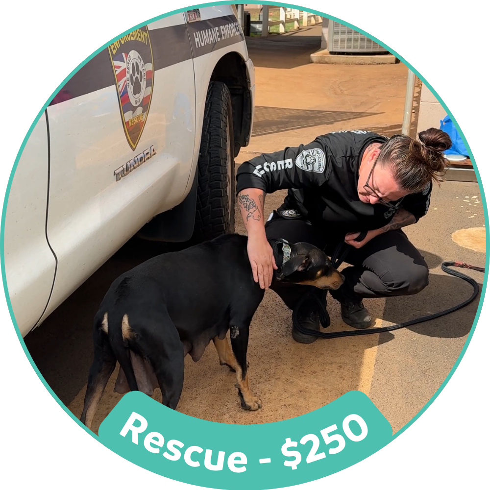Rescue