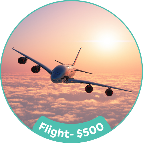 Flight