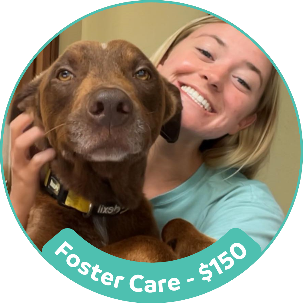 Foster Care