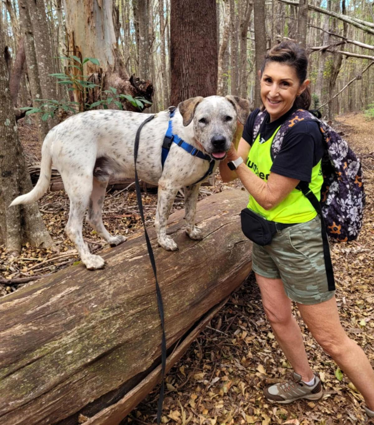 Donate to Help Maui Animals