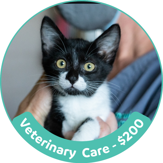 Veterinary Care