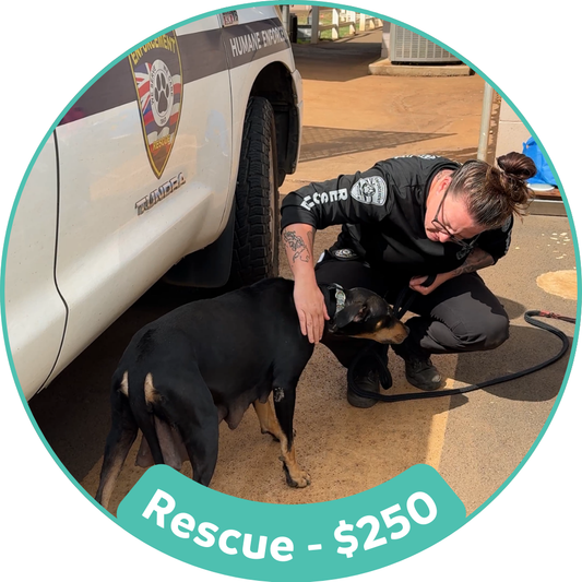 Rescue