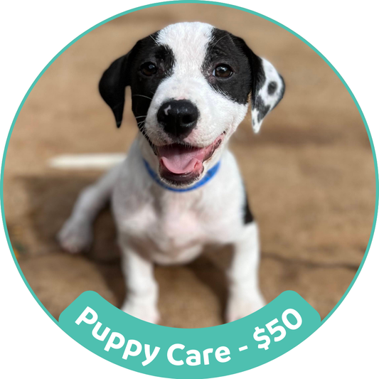 Puppy Care