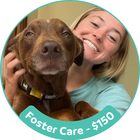 Foster Care