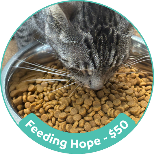 Feeding Hope