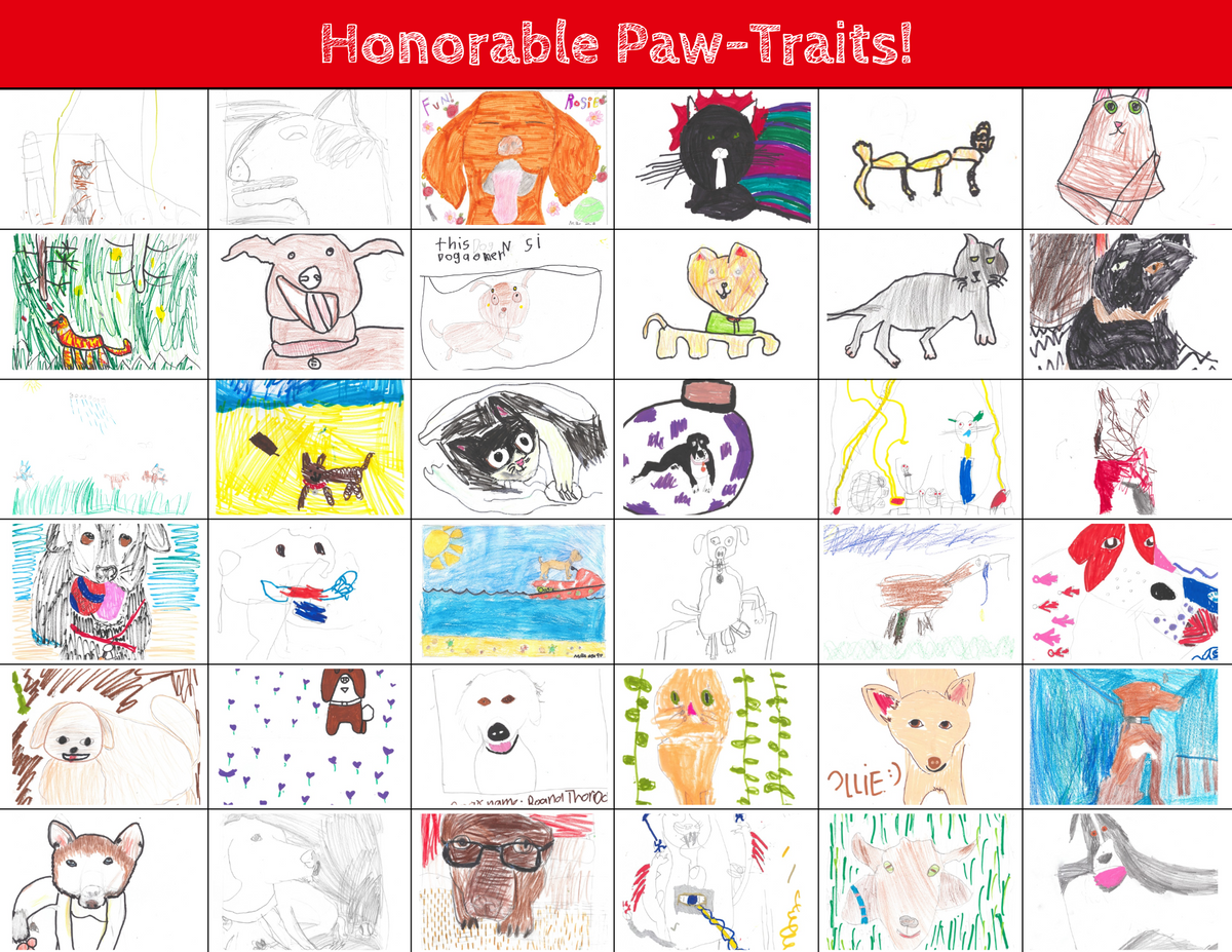 2027 "Sketch-A-Pet" Calendar