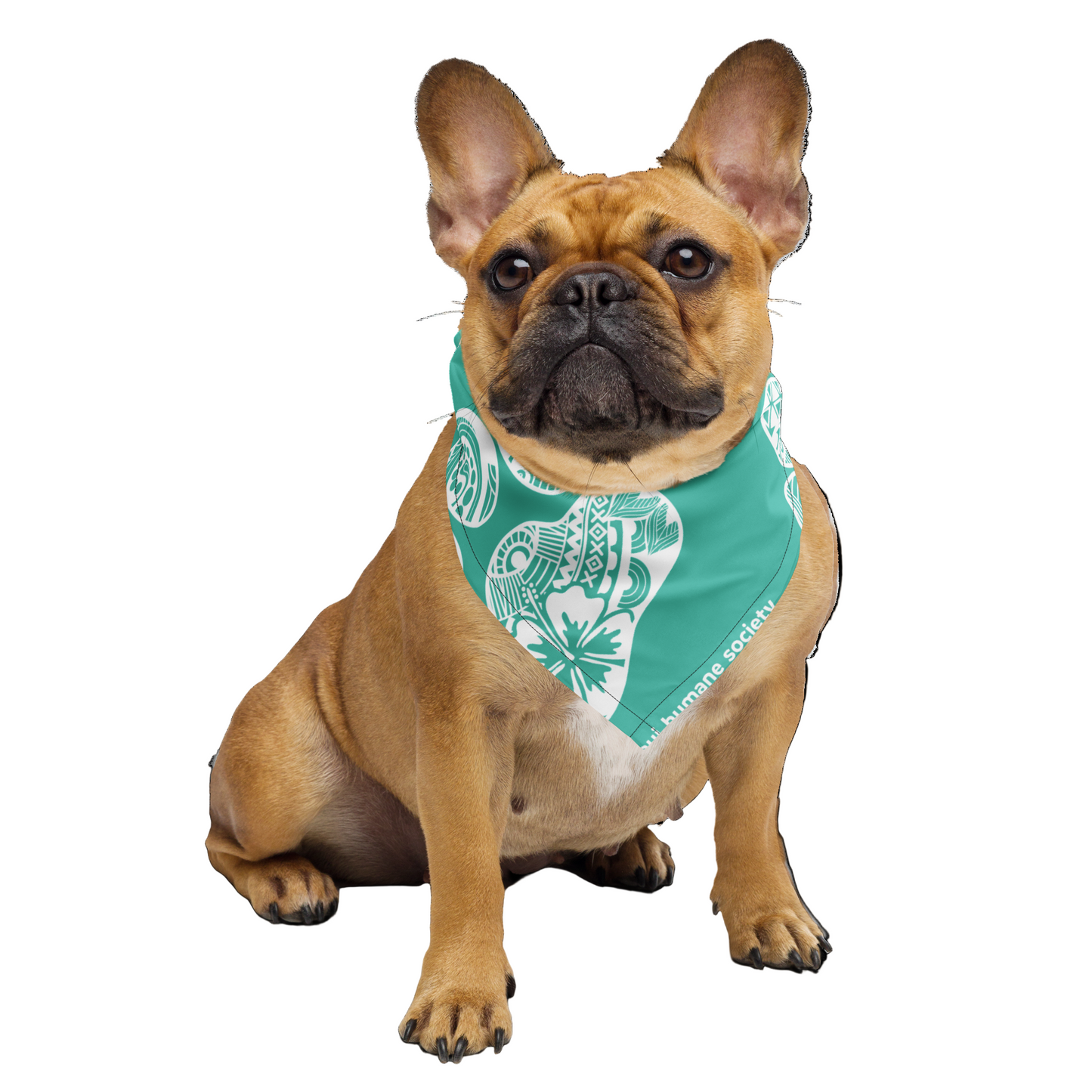 Paw Print Bandana - Aqua
