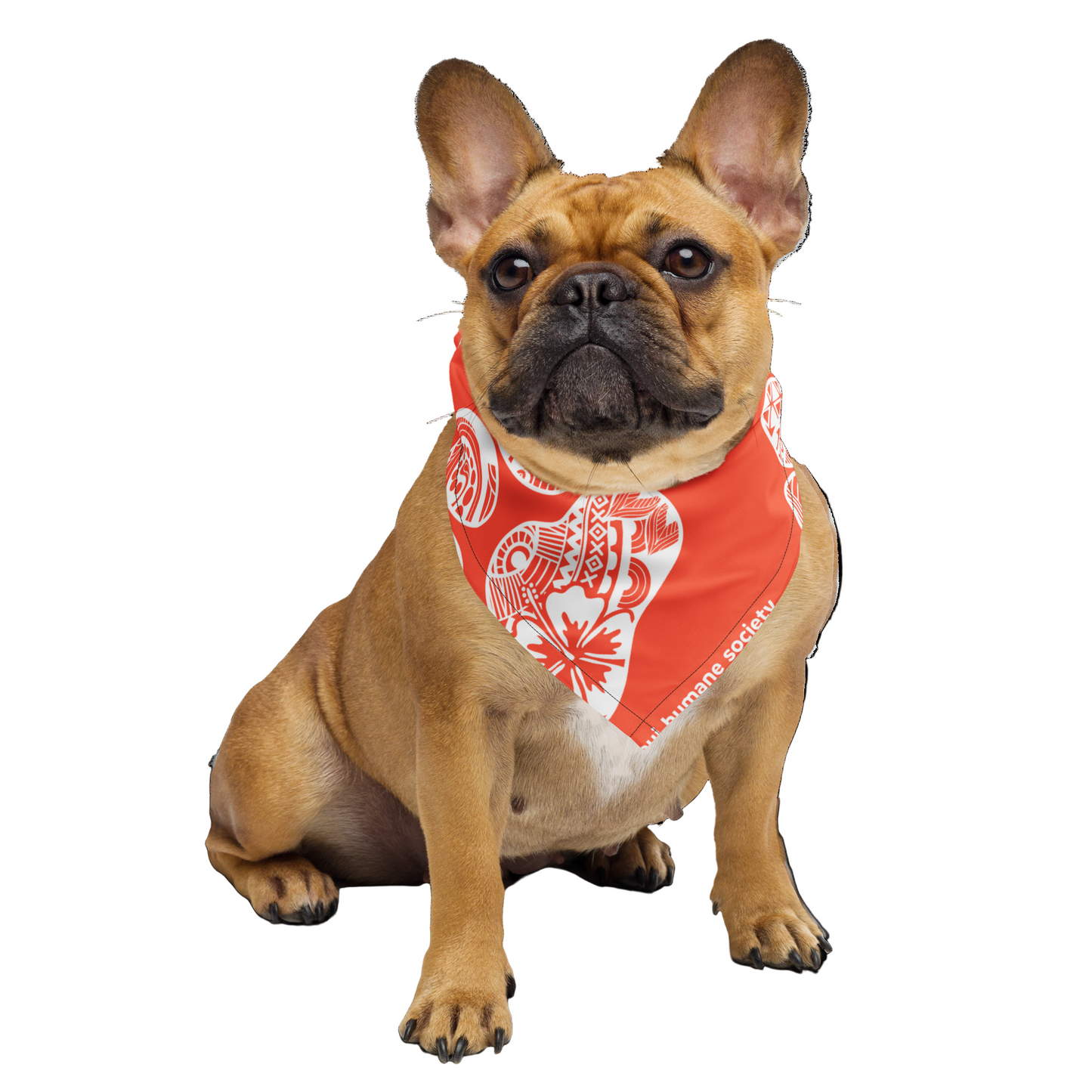 Paw Print Bandana - Orange