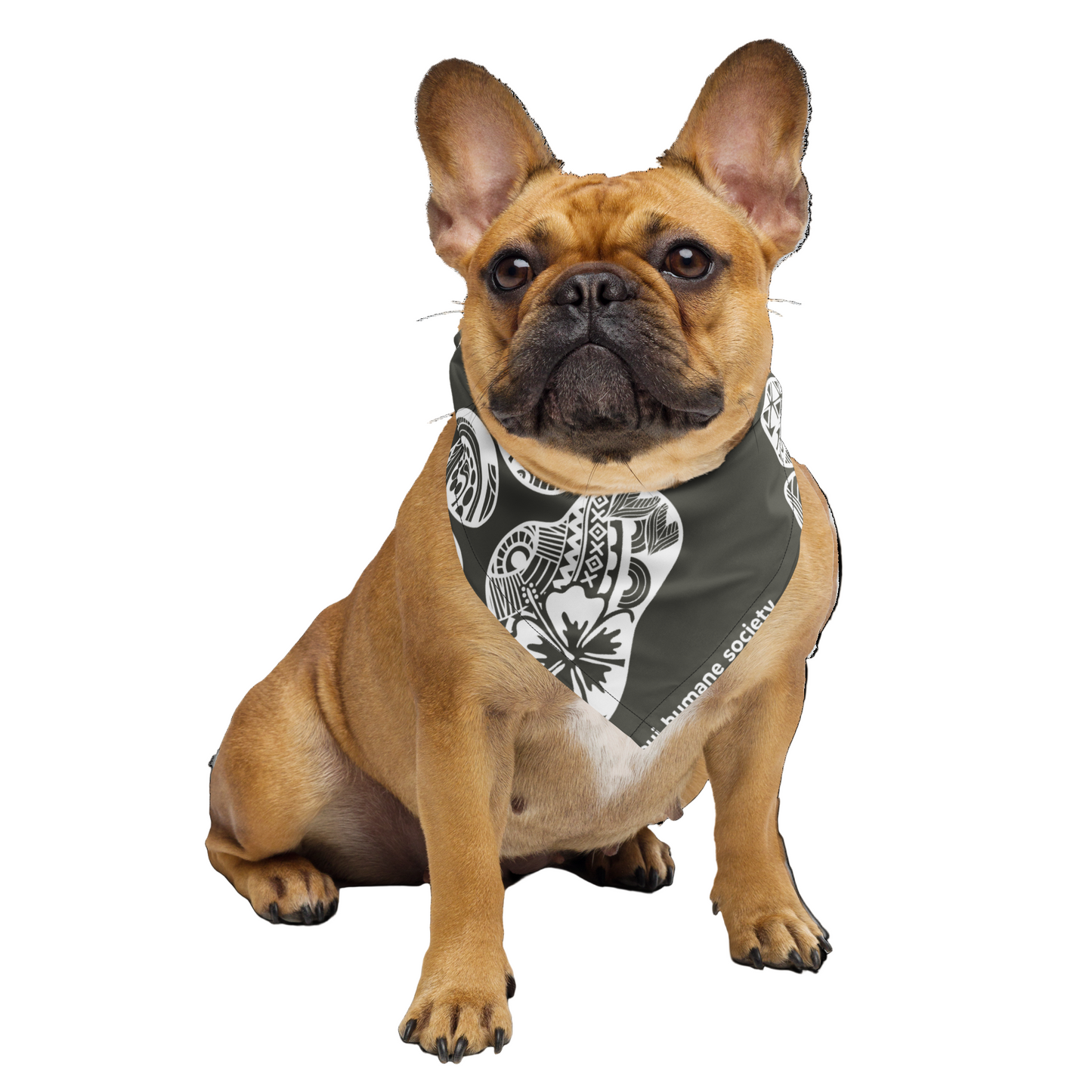 Paw Print Bandana - Gray