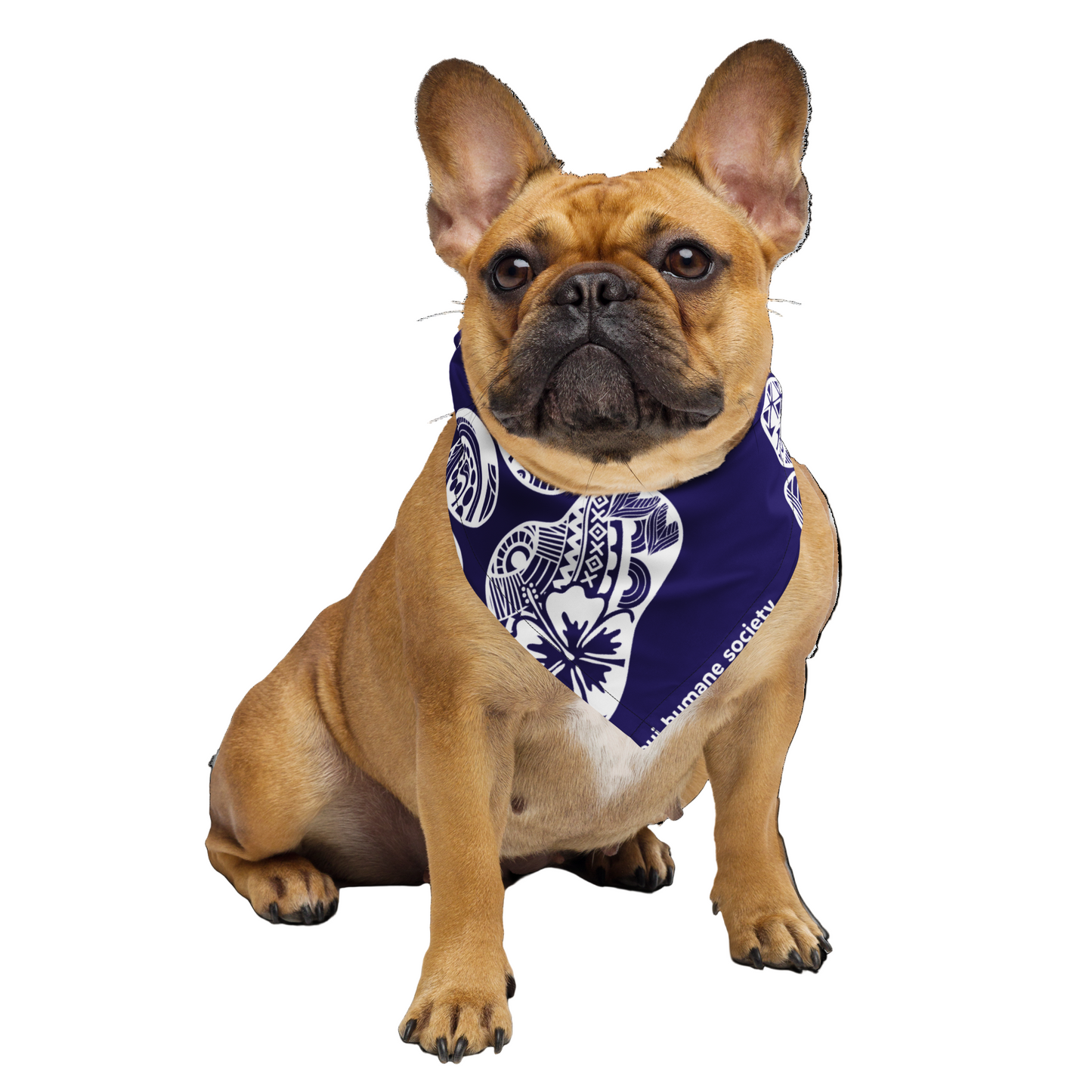 Paw Print Bandana - Blue