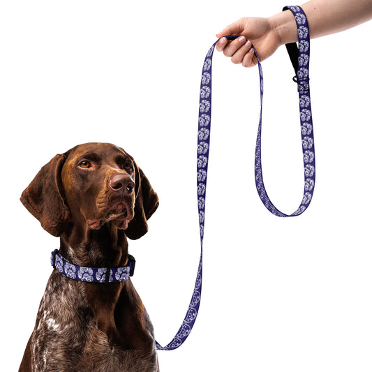 Paw Print Collar and Leash Combo - Blue