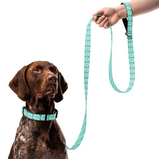 Paw Print Collar and Leash Combo - Aqua