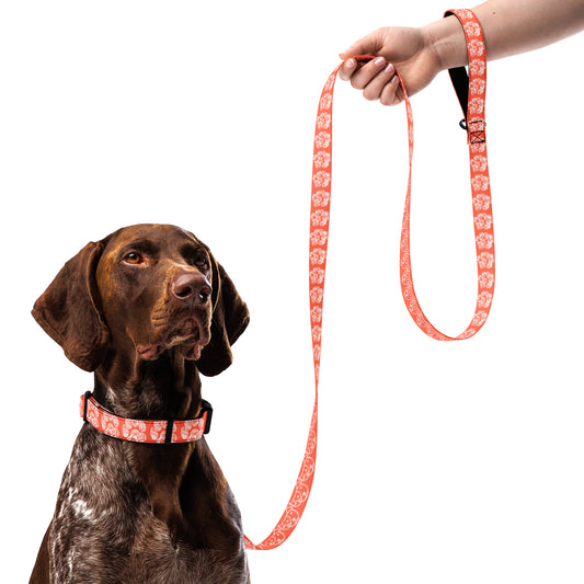 Paw Print Collar and Leash Combo - Orange