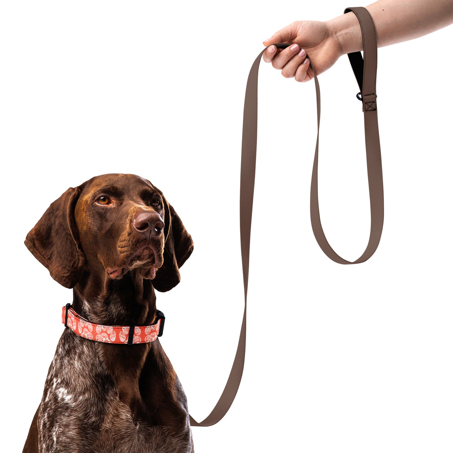 Paw Print Pet Collar Orange