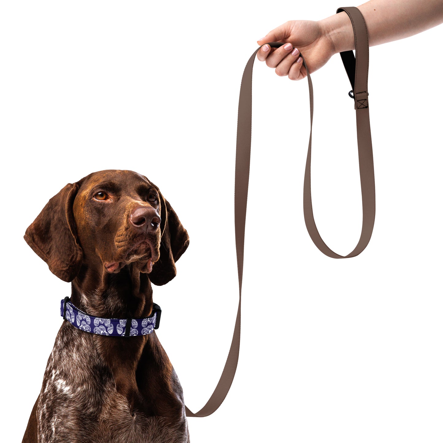 Paw Print Pet Collar Blue