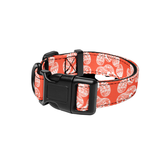 Paw Print Pet Collar Orange