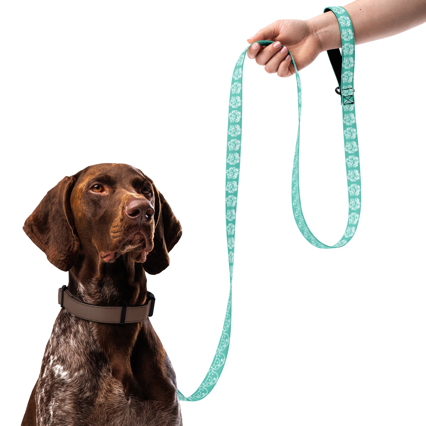 Paw Print Pet Leash - Aqua