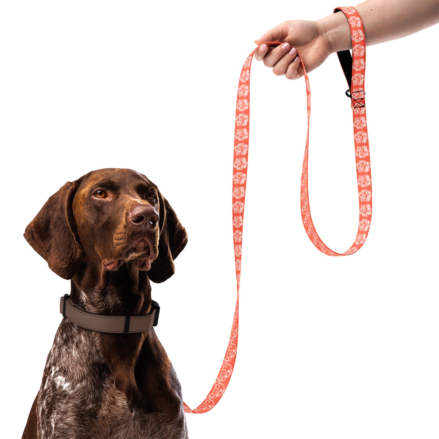 Paw Print Pet Leash - Orange